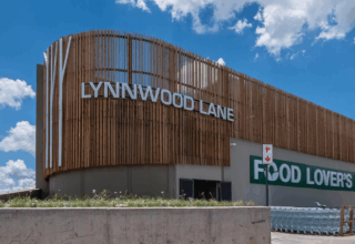 Lynwood’un Laneti: Tainted Grail’de Druid Bulma İpuçları