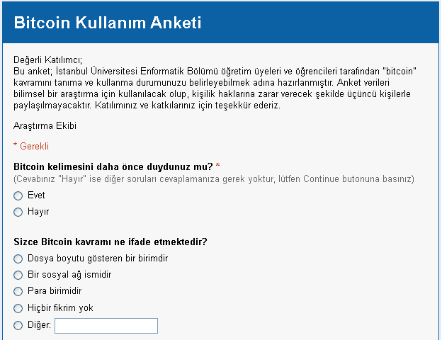 Bitcoin Anketi: Yatırımcı Tutumları ve Stratejileri