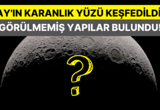 Cinderia: Karanlık Boynuz Klanının Yüksek Kurbanı Hakkında Bilmeniz Gerekenler